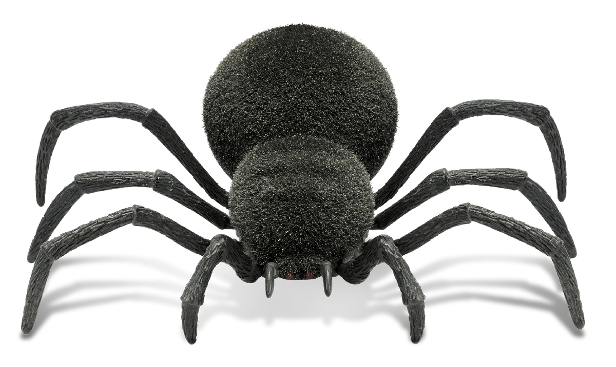 Spooky Spider - Glow In The Dark Realistic RC Toy