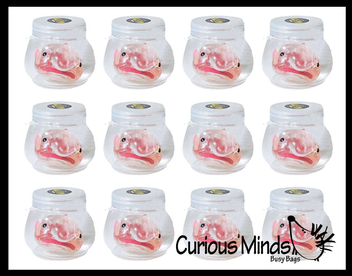 Blob Fish in Fish Bowl - Ugly and Cute Fish with Nose - Thick Glue/Gel Syrup Molasses Stretch Ball - Ultra Squishy and Moldable Slow Rise Relaxing Sensory Fidget Stress Toy