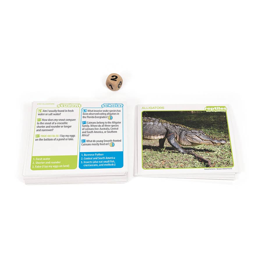 Prof. Noggin Reptiles and Amphibians Card Game