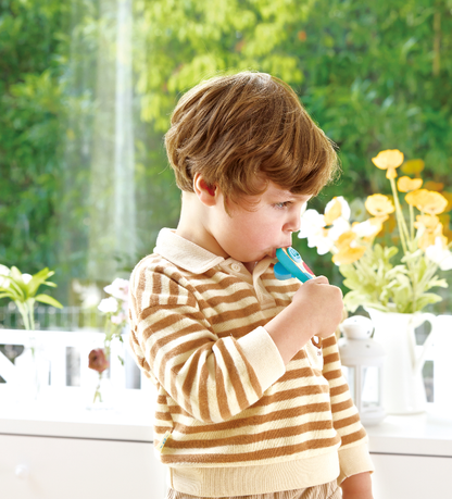 Rhythm & Hum Pocket Kazoo