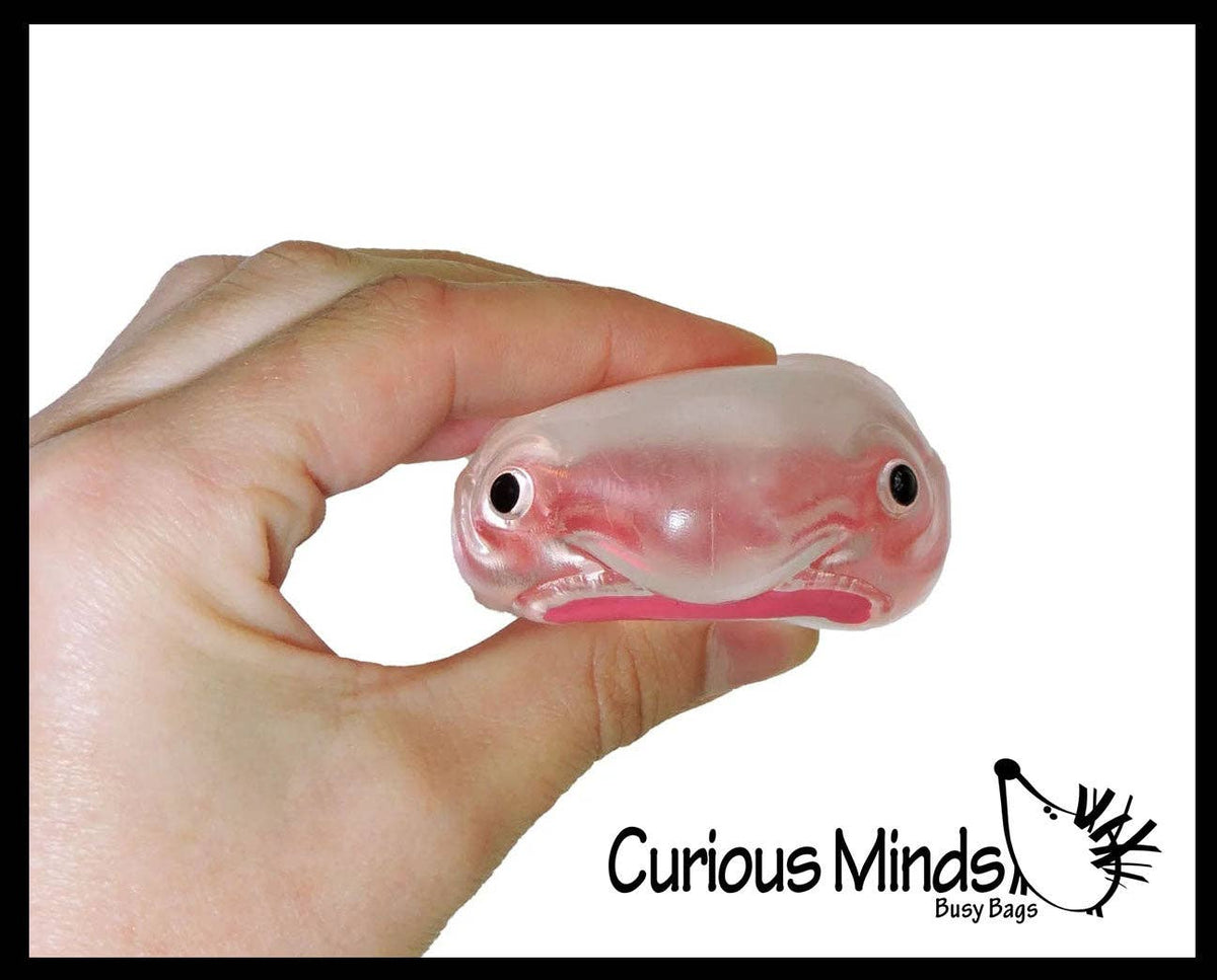 Blob Fish in Fish Bowl - Ugly and Cute Fish with Nose - Thick Glue/Gel Syrup Molasses Stretch Ball - Ultra Squishy and Moldable Slow Rise Relaxing Sensory Fidget Stress Toy