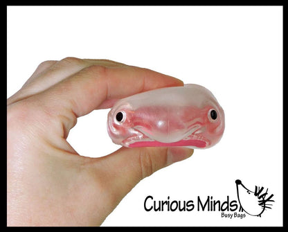 Blob Fish in Fish Bowl - Ugly and Cute Fish with Nose - Thick Glue/Gel Syrup Molasses Stretch Ball - Ultra Squishy and Moldable Slow Rise Relaxing Sensory Fidget Stress Toy