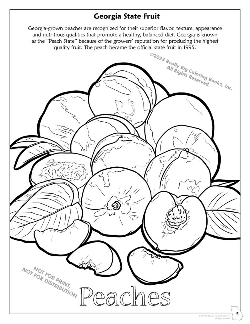 Georgia State Coloring Book 8.5 x 11