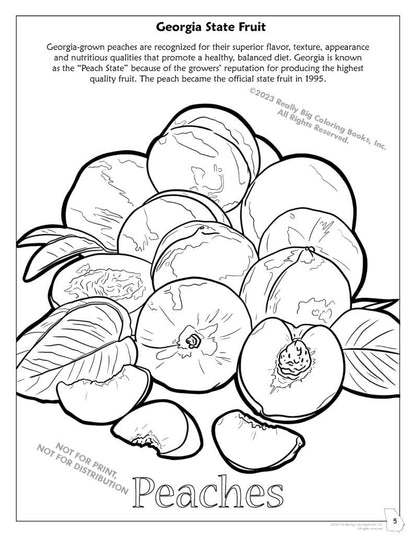 Georgia State Coloring Book 8.5 x 11