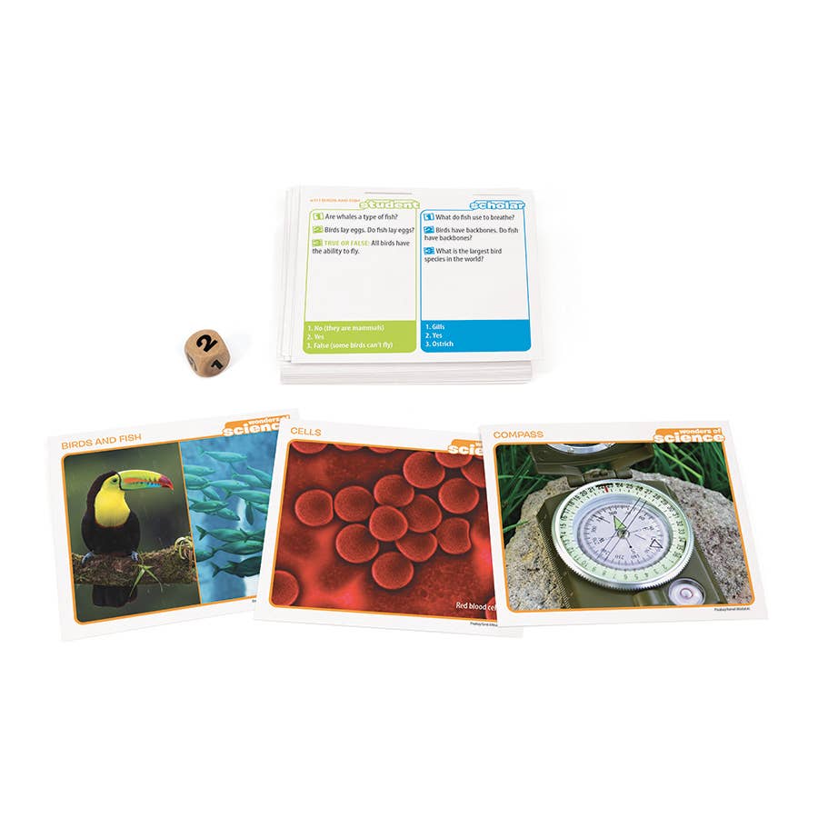 Prof. Noggin Wonders of Science Card Game