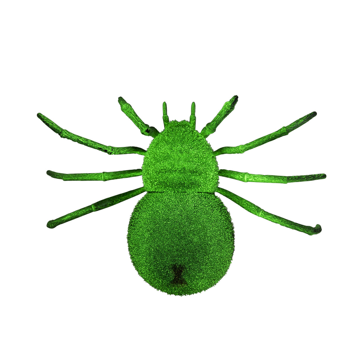 Spooky Spider - Glow In The Dark Realistic RC Toy