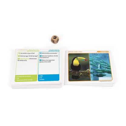 Prof. Noggin Wonders of Science Card Game