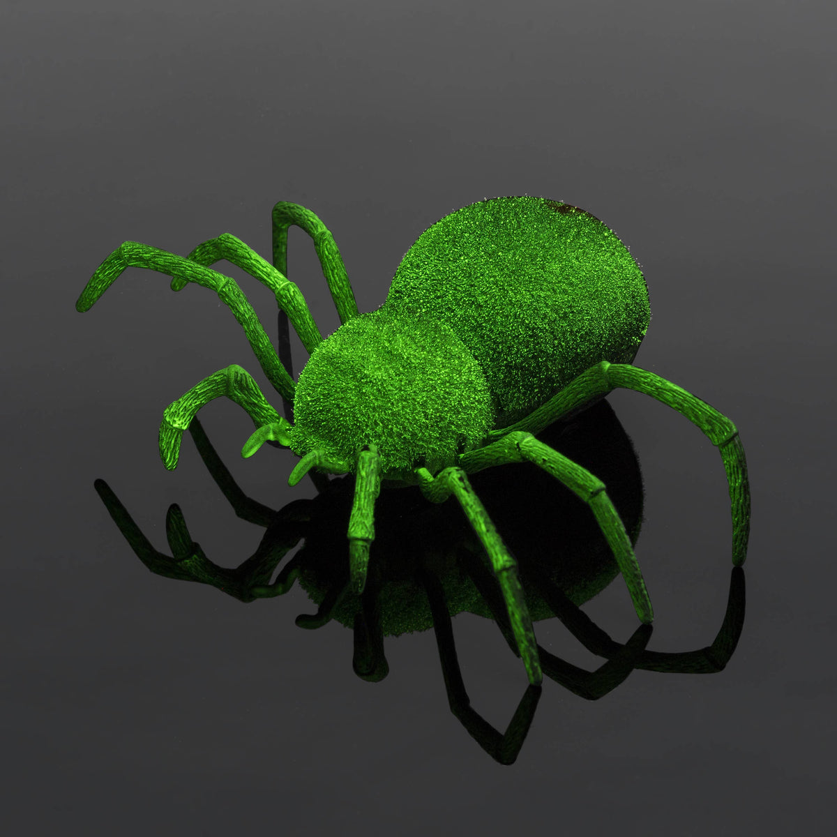 Spooky Spider - Glow In The Dark Realistic RC Toy