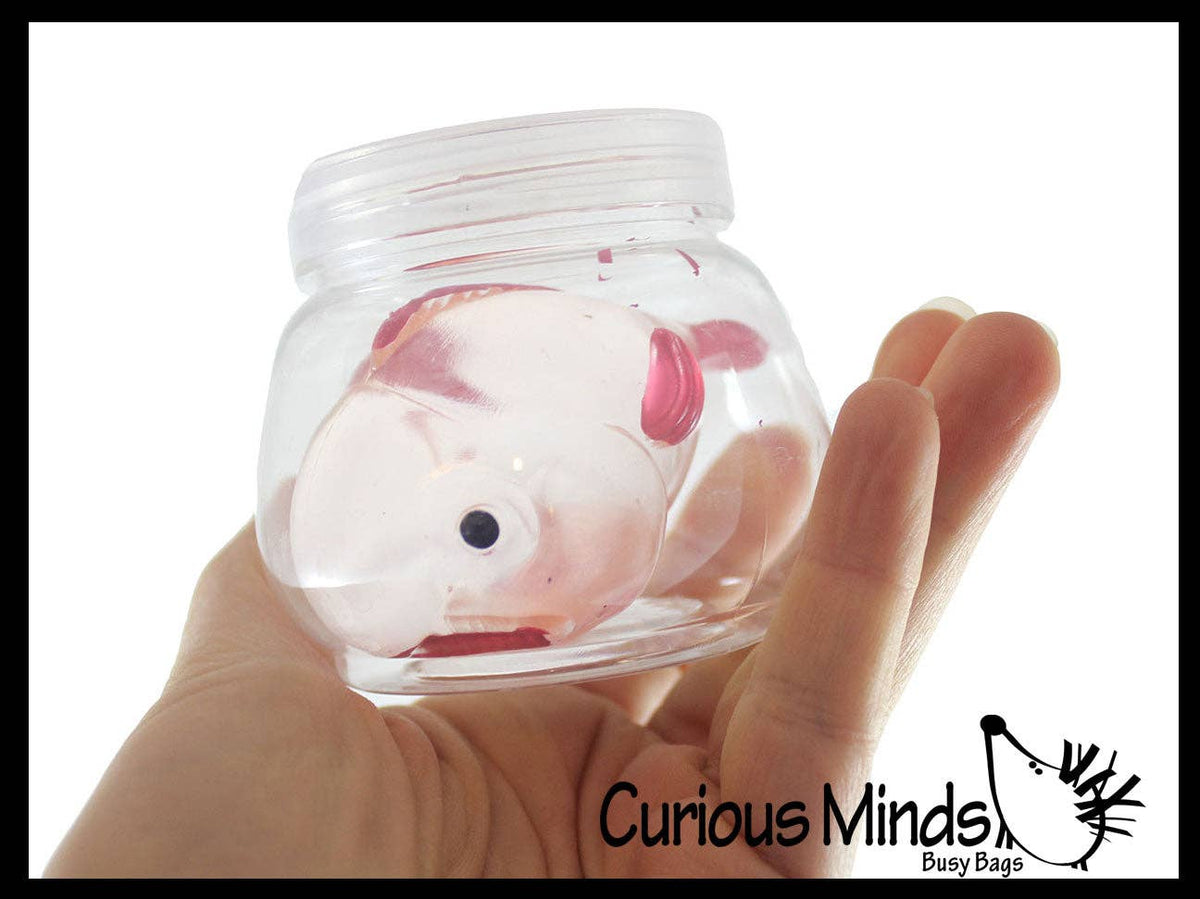 Blob Fish in Fish Bowl - Ugly and Cute Fish with Nose - Thick Glue/Gel Syrup Molasses Stretch Ball - Ultra Squishy and Moldable Slow Rise Relaxing Sensory Fidget Stress Toy