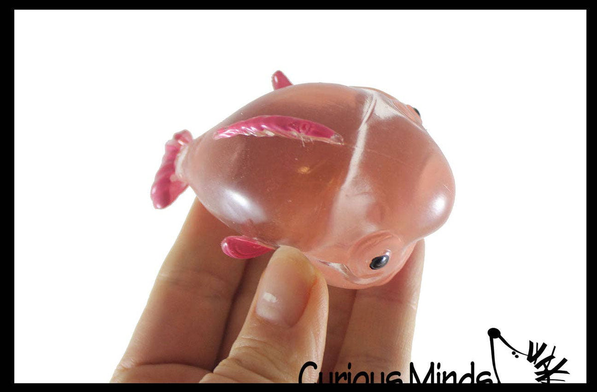 Blob Fish in Fish Bowl - Ugly and Cute Fish with Nose - Thick Glue/Gel Syrup Molasses Stretch Ball - Ultra Squishy and Moldable Slow Rise Relaxing Sensory Fidget Stress Toy