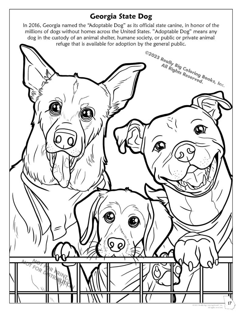 Georgia State Coloring Book 8.5 x 11