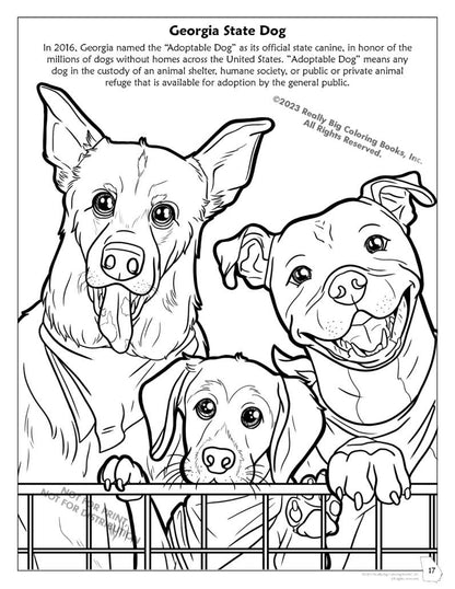 Georgia State Coloring Book 8.5 x 11