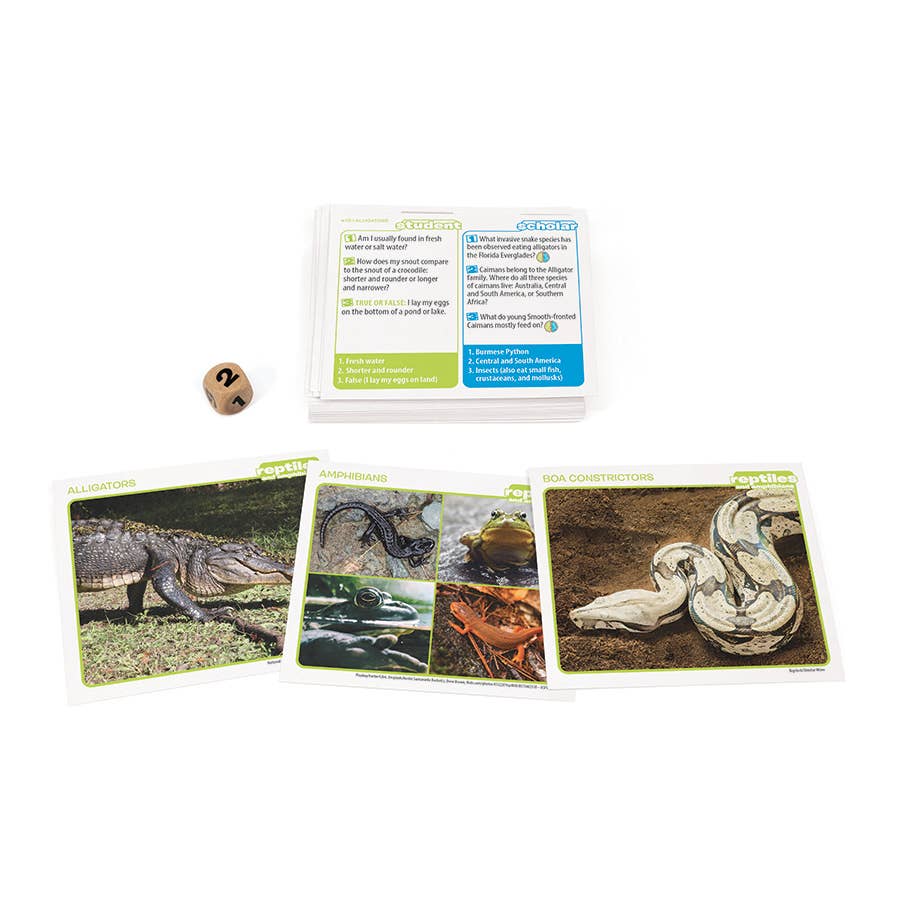 Prof. Noggin Reptiles and Amphibians Card Game