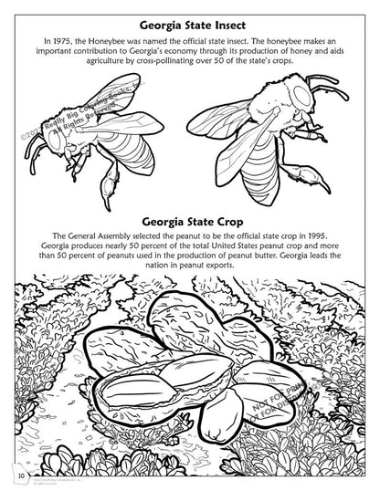 Georgia State Coloring Book 8.5 x 11