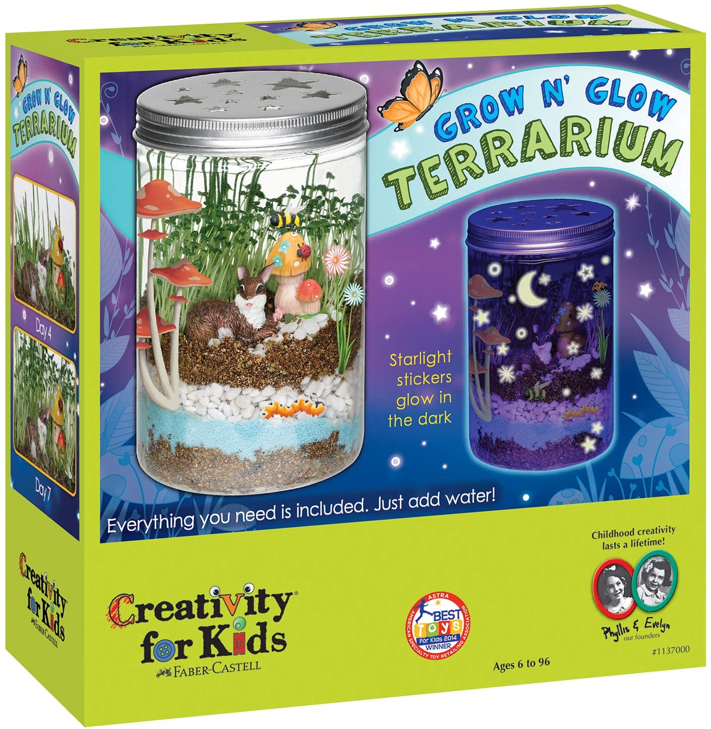 Grow and Glow Terrarium