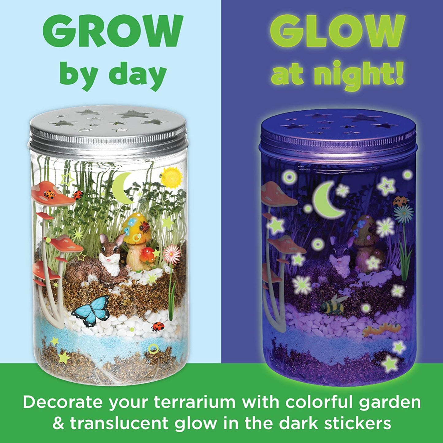 Grow and Glow Terrarium