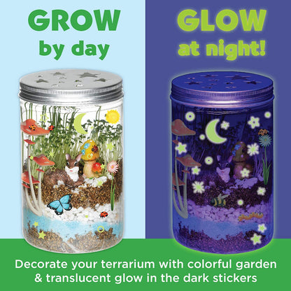 Grow and Glow Terrarium