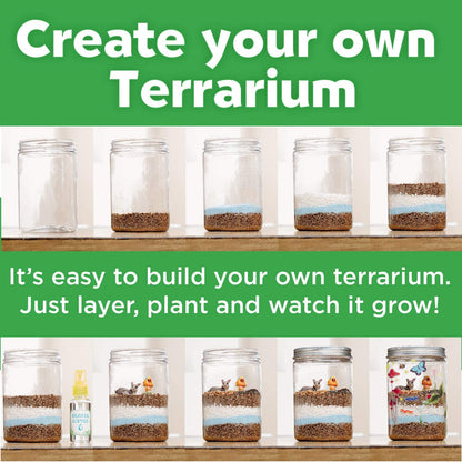Grow and Glow Terrarium