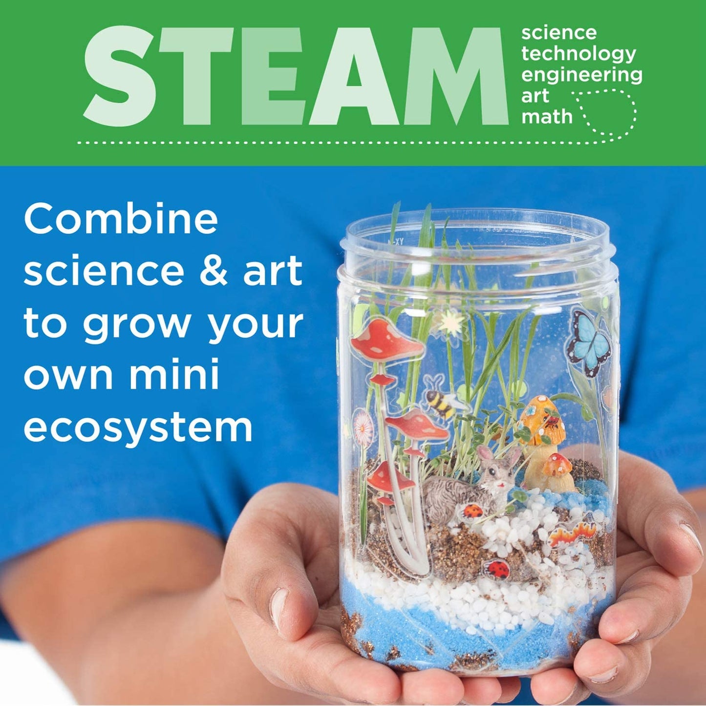 Grow and Glow Terrarium