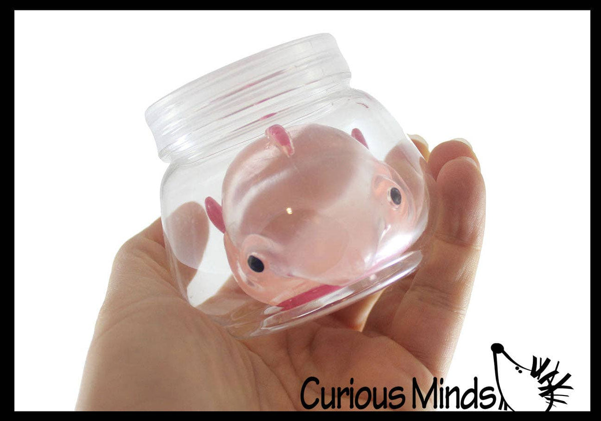Blob Fish in Fish Bowl - Ugly and Cute Fish with Nose - Thick Glue/Gel Syrup Molasses Stretch Ball - Ultra Squishy and Moldable Slow Rise Relaxing Sensory Fidget Stress Toy