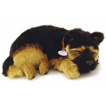 Pp German Shepherd