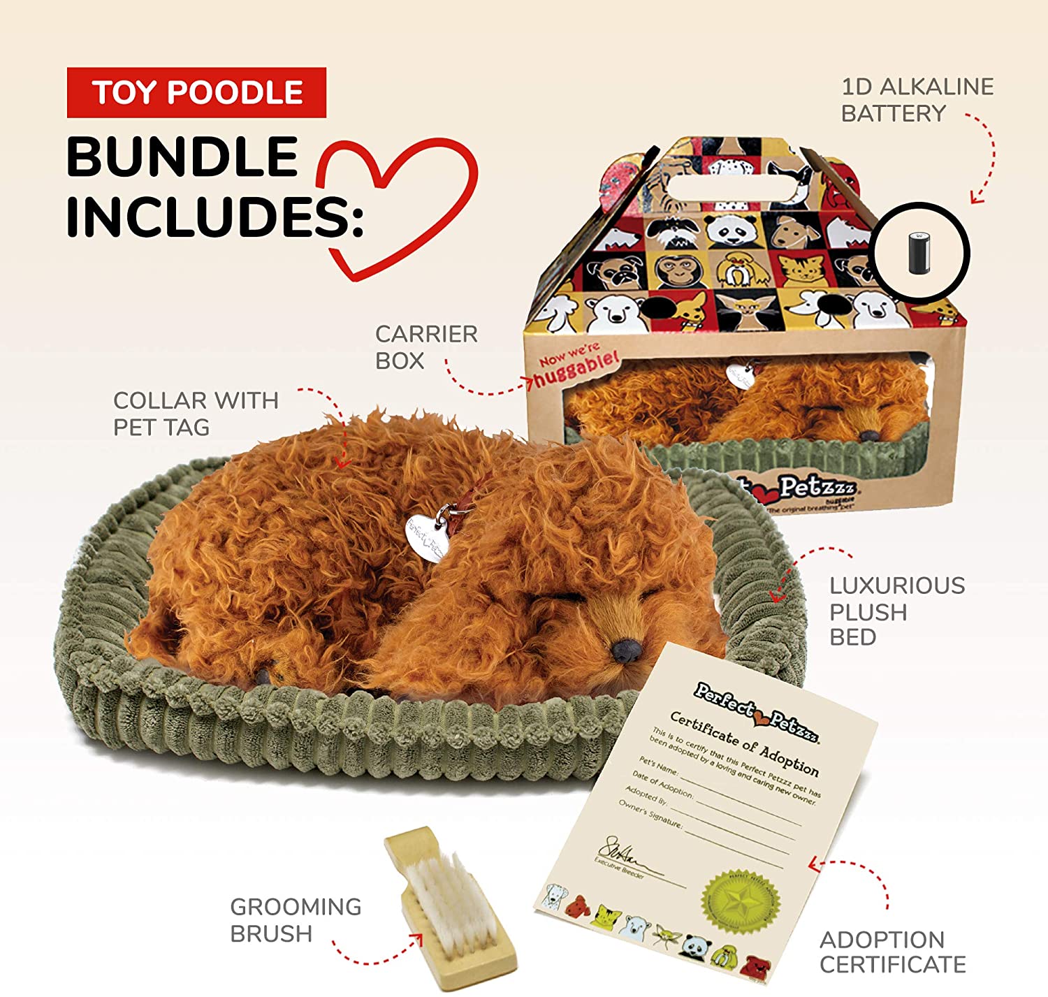 Pp Toy Poodle