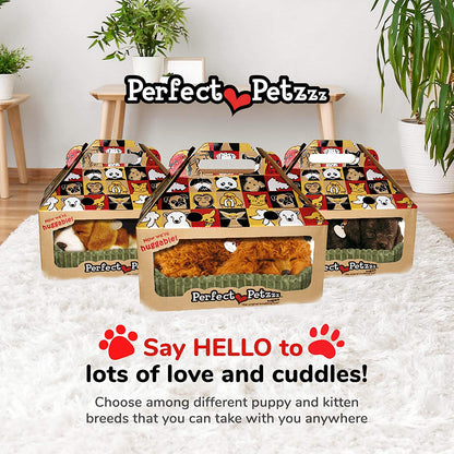 Pp Toy Poodle