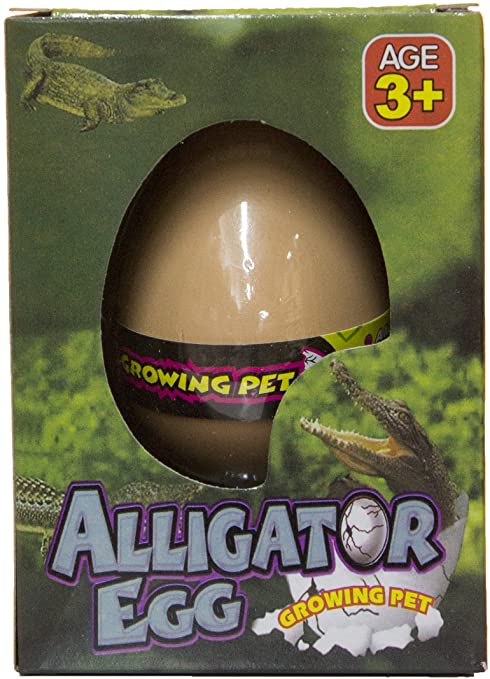 *rowing Egg Alligator