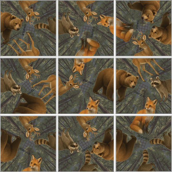 Wildlife Squzzle
