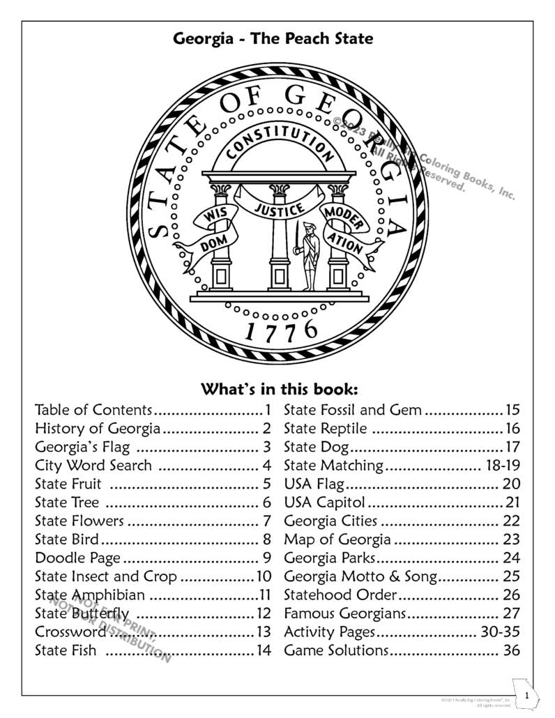 Georgia State Coloring Book 8.5 x 11