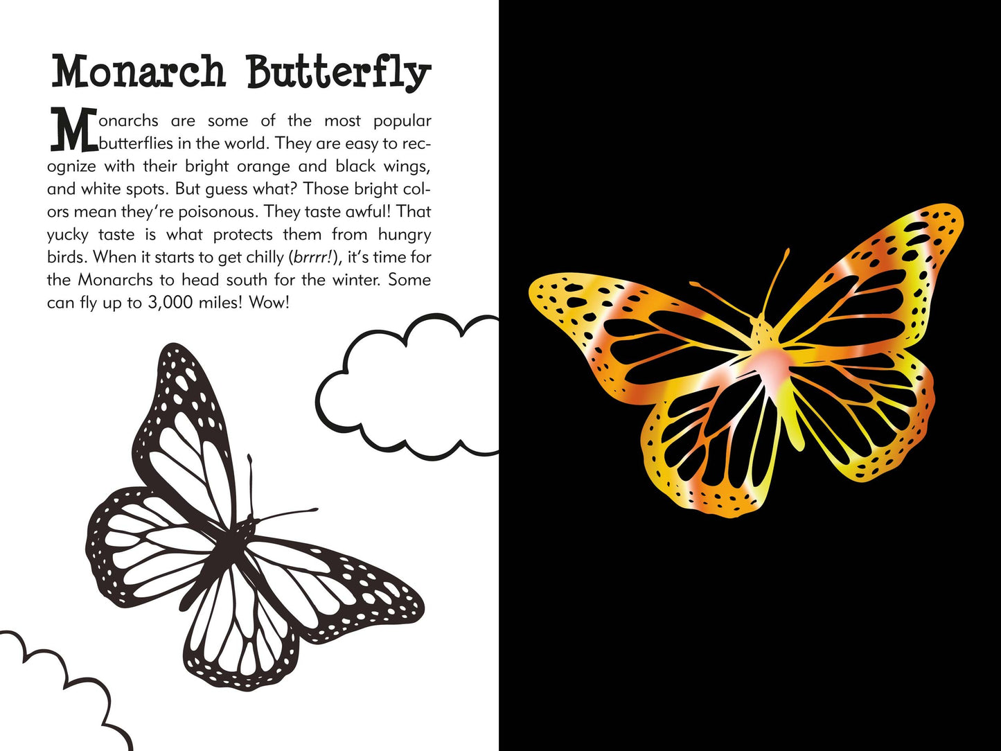 Scratch Sketch Butterfly