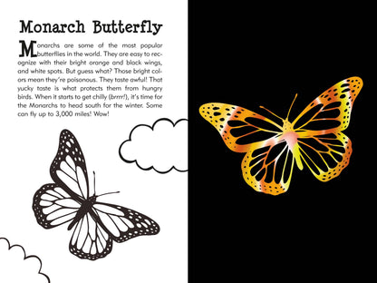 Scratch Sketch Butterfly