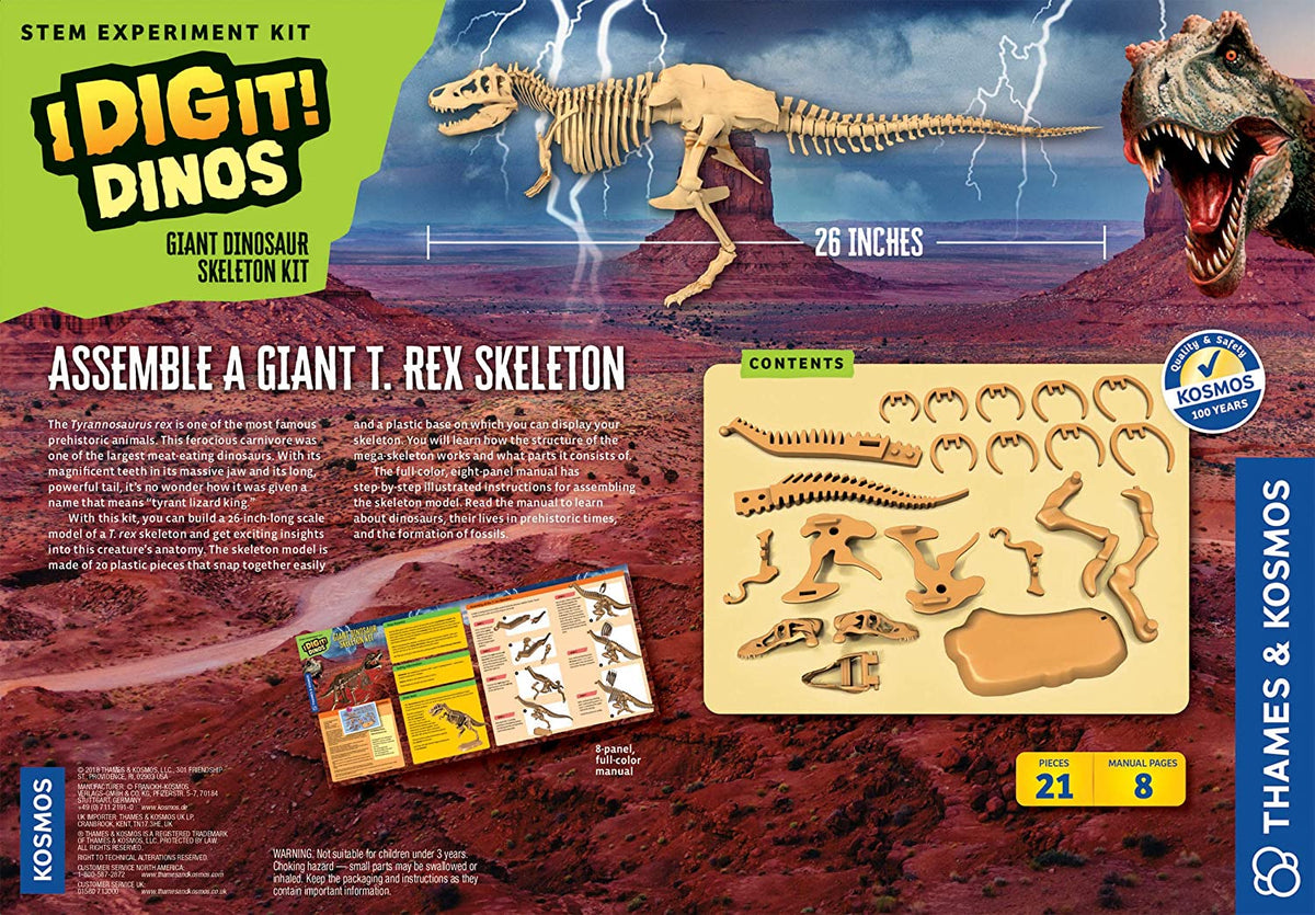 Giant Dinosaur Skeleton