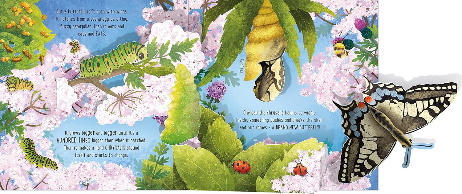 Pop Up Butterflies