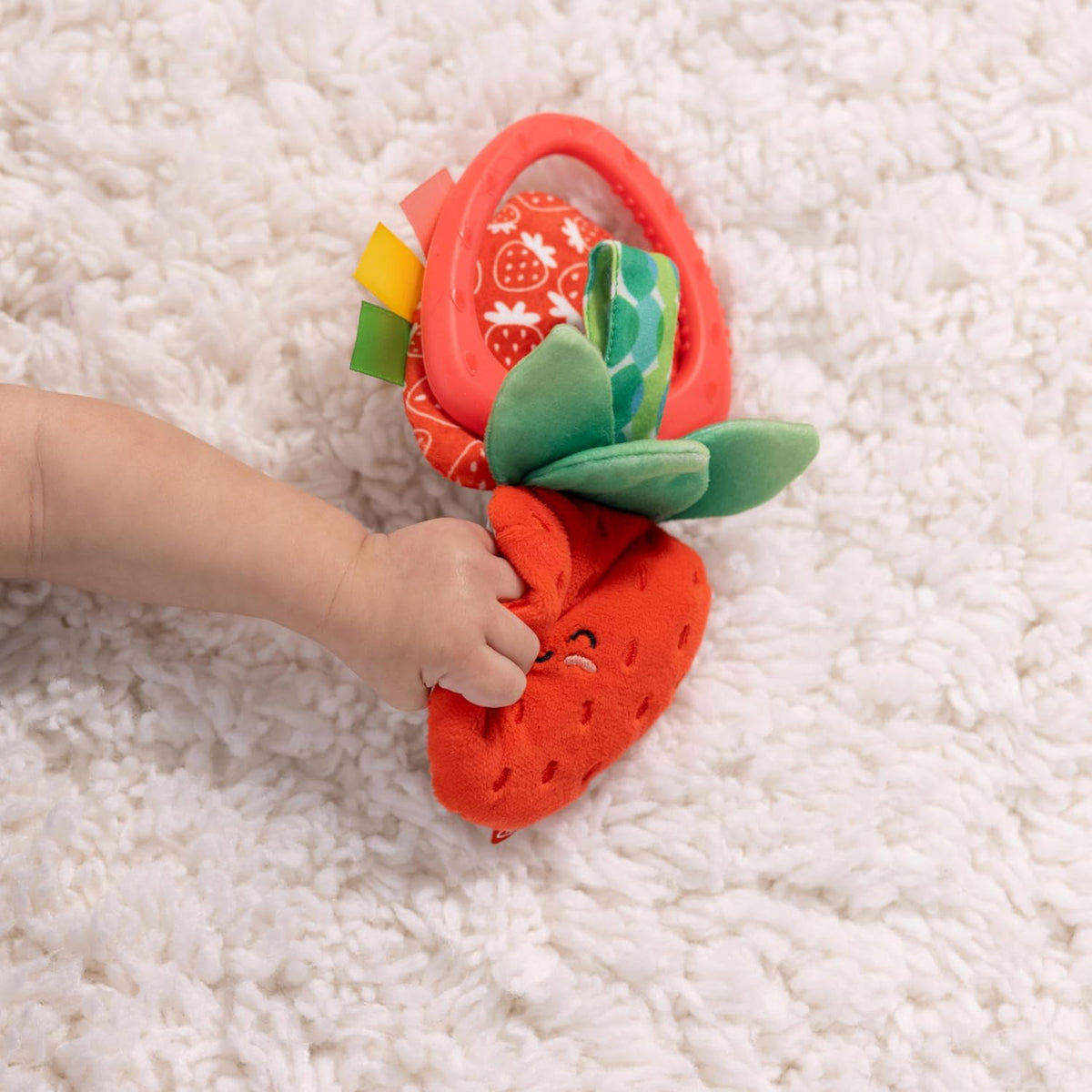 Strawberrytake Along Toy