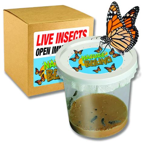 Butterfly Kit