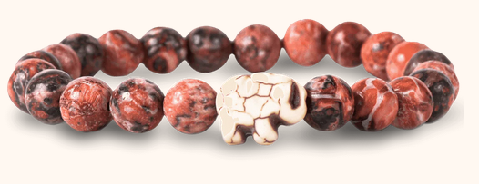 Fahlo Desert Stn Elephant